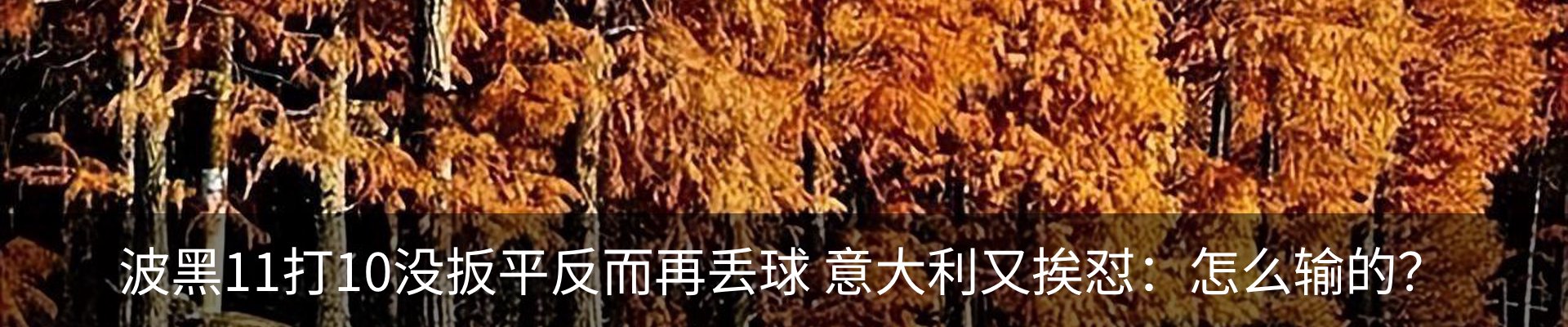 资讯中心